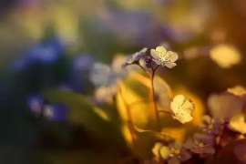 感人故事小说:重拾婚姻的希望 感人故事小说:重拾婚姻的希望